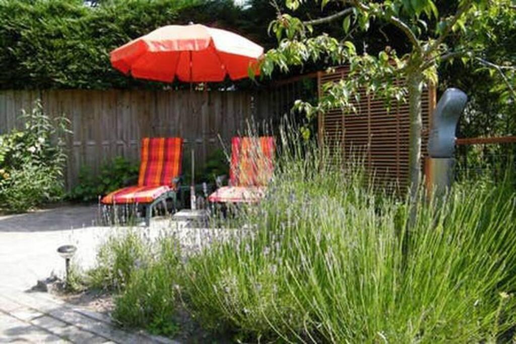 Studio Bed & Strand Scharendijke Exterior foto
